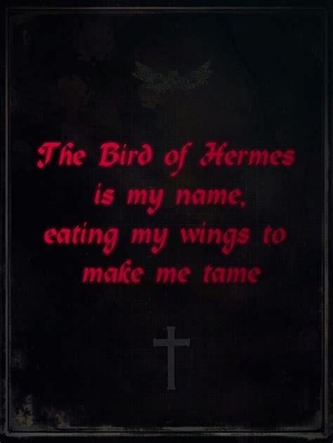 i am the bird of hermes eating my own wings.